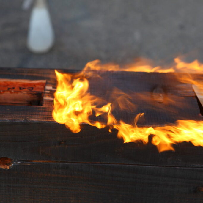 Griffith Park Teahouse Burn detail